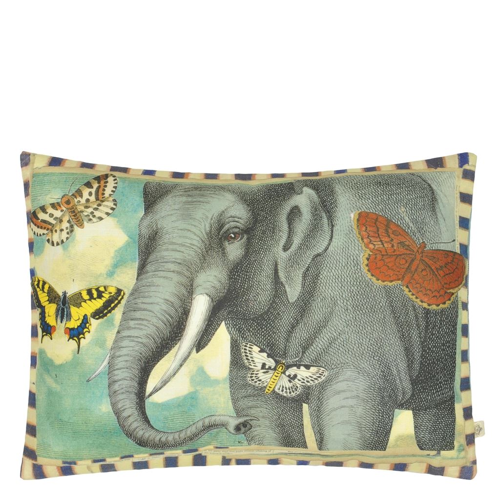 Elephants Trunk Sky CCJD5052