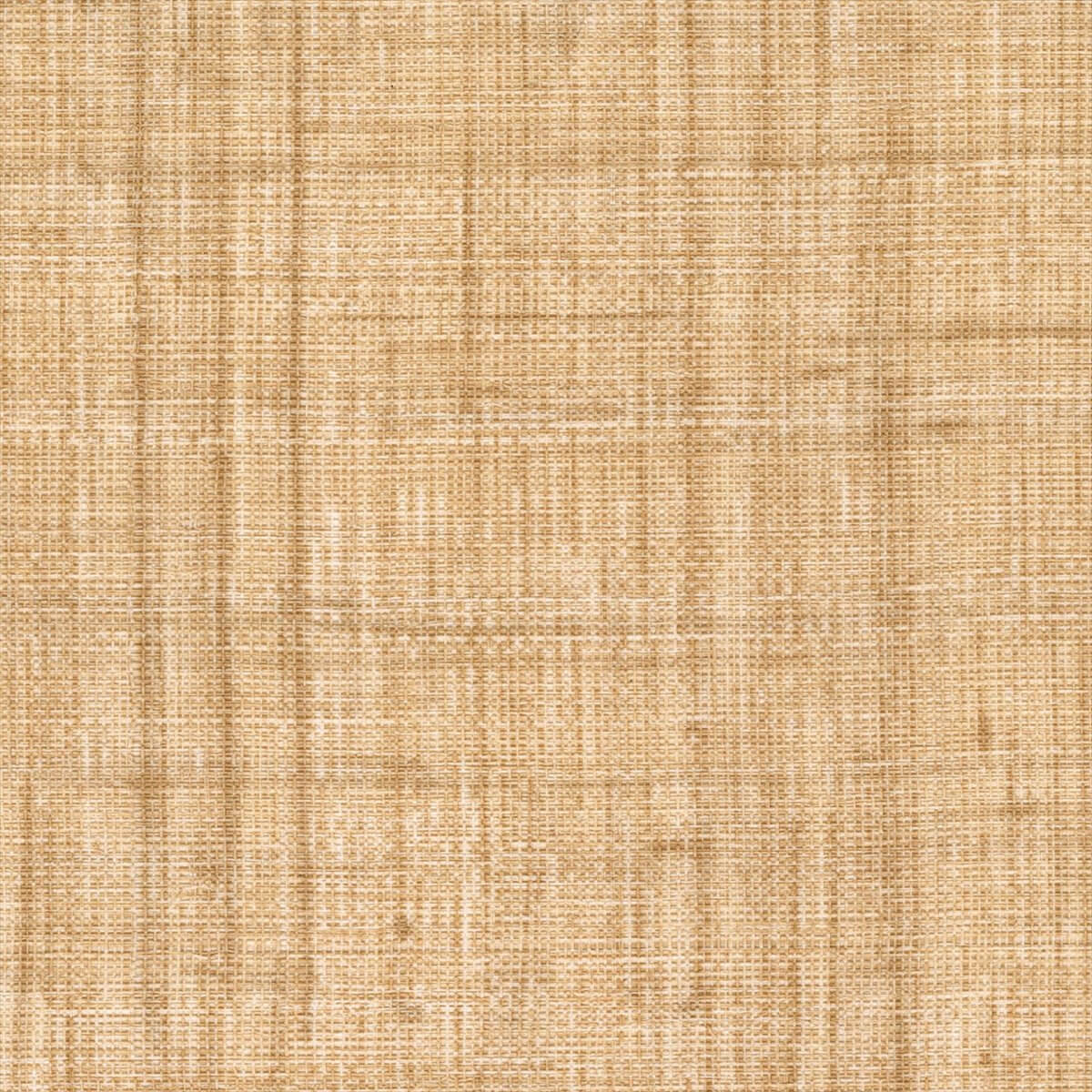 Abaca VP 983 06
