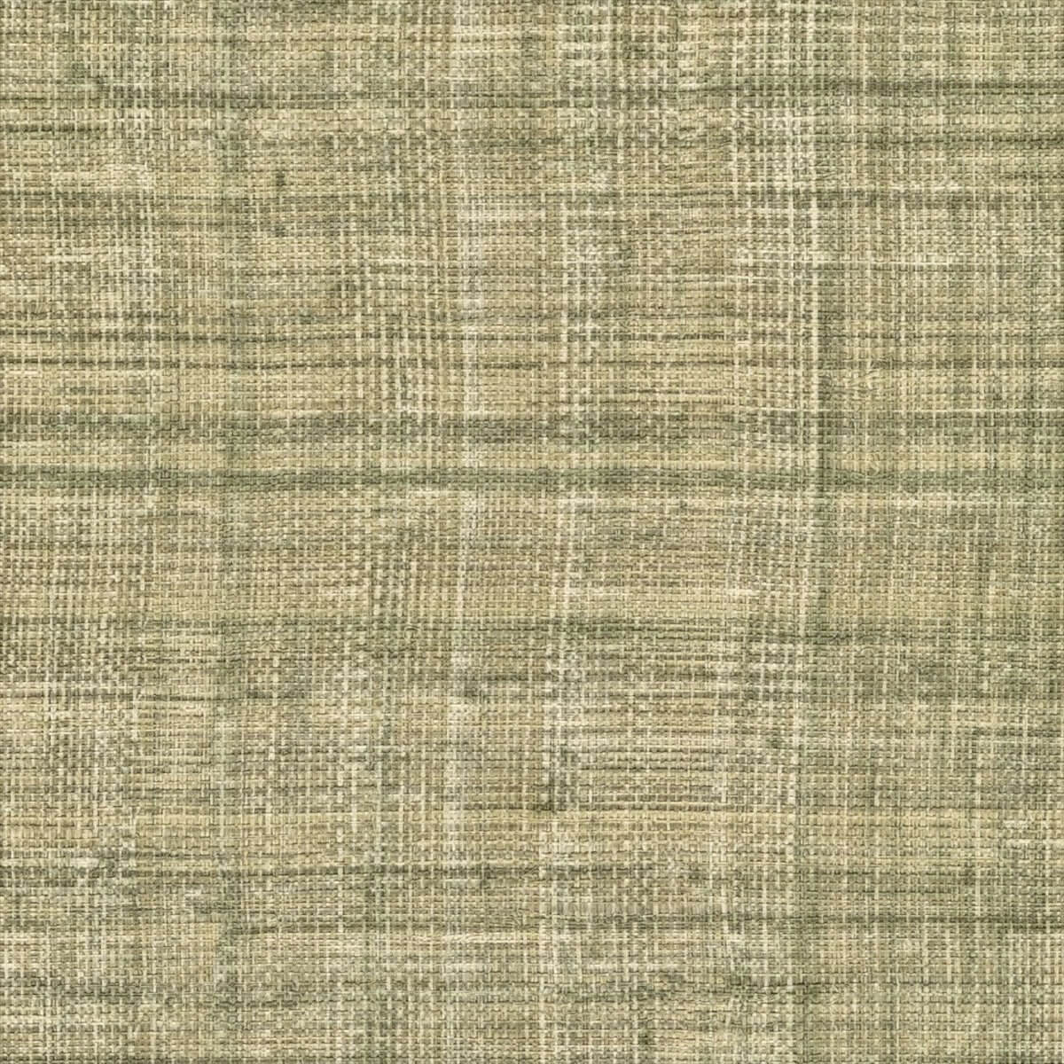 Abaca VP 983 61