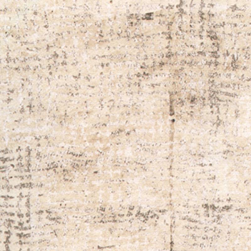 Allegorie RM 256 02