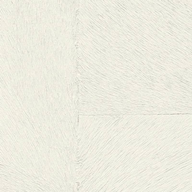 Appaloosa hpc CV 113 18