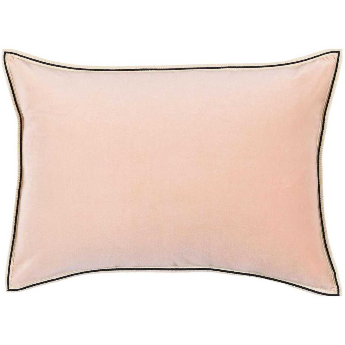 Aristote CO-178-58-02