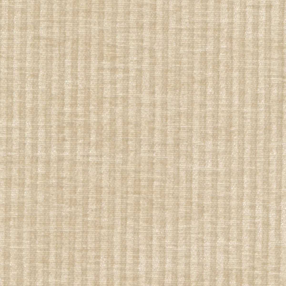 Arpeggio RM-1104-02