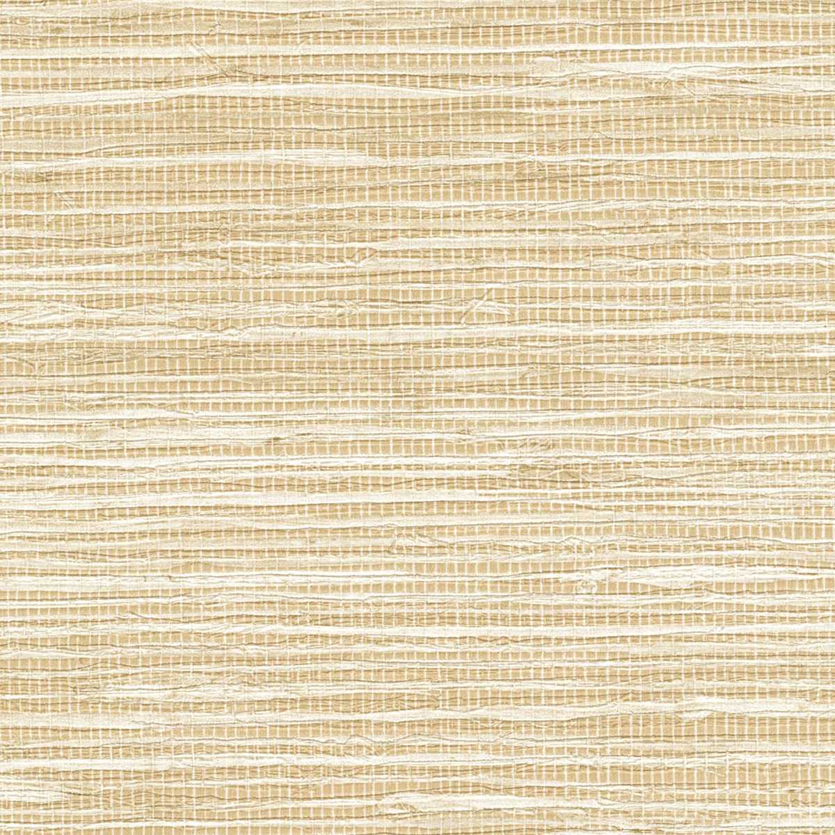 Arrowroot VP-1050-01