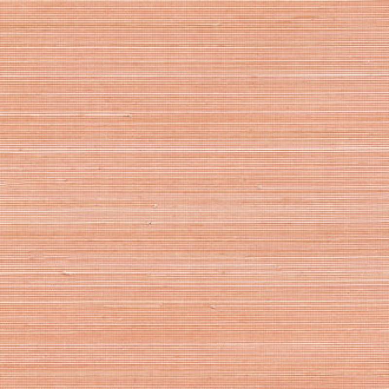 Coiba RM 110 39