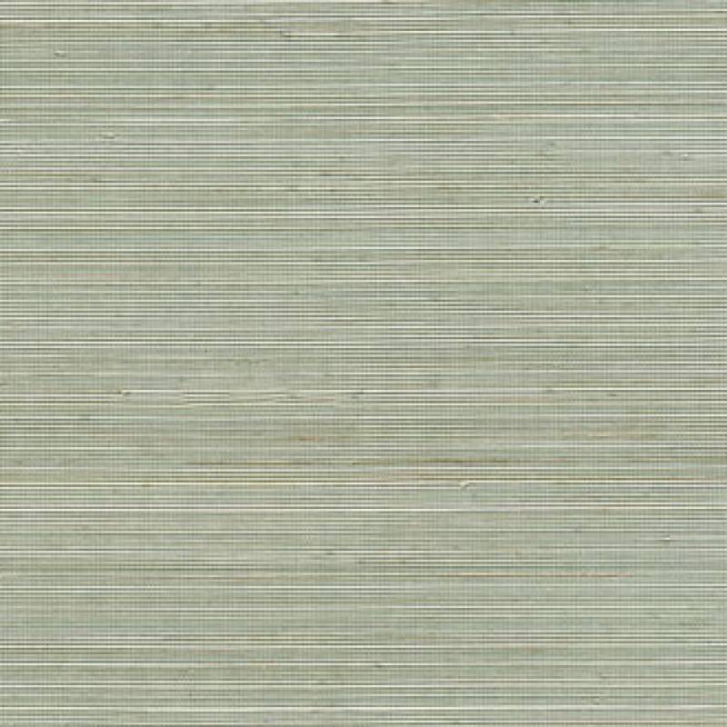 Coiba RM 110 61
