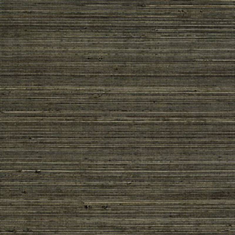 Coiba RM 110 62