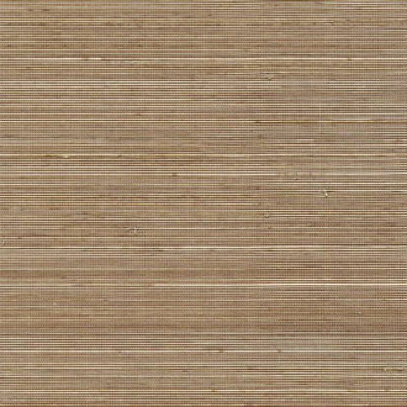 Coiba RM 110 74