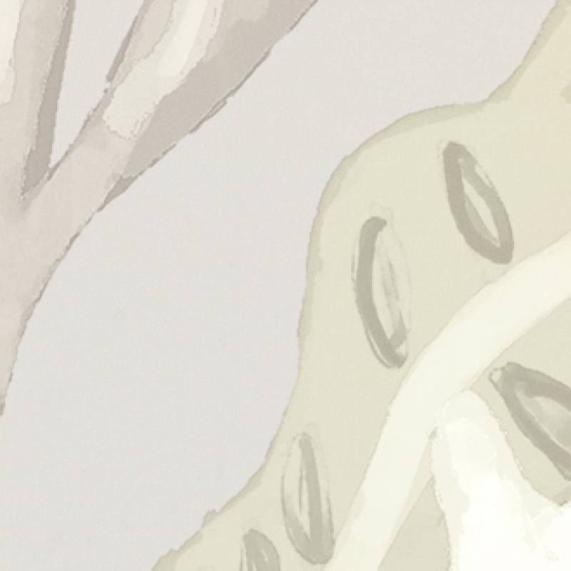 Fleur de lune TP 305 01