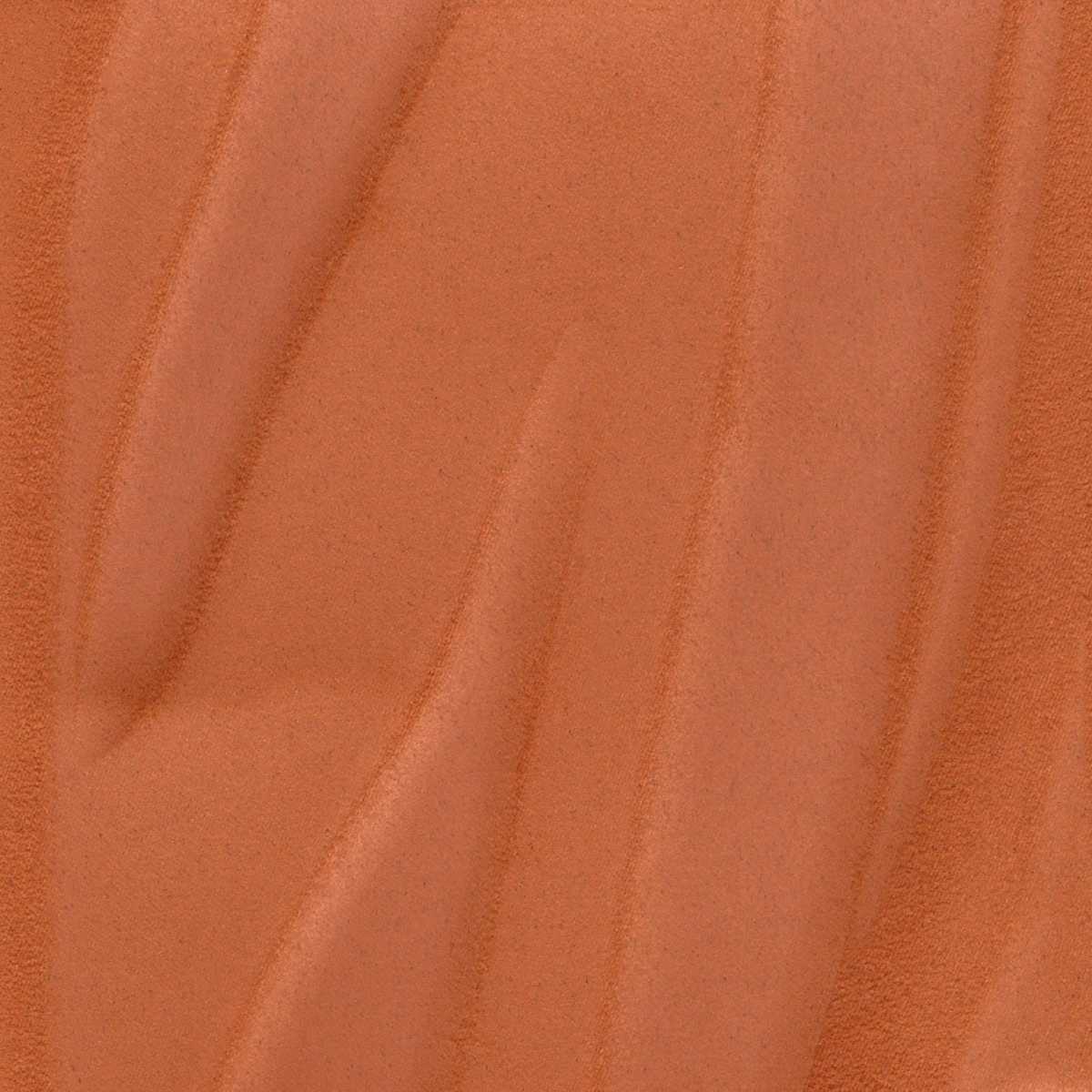 Herbier RM-1099-31