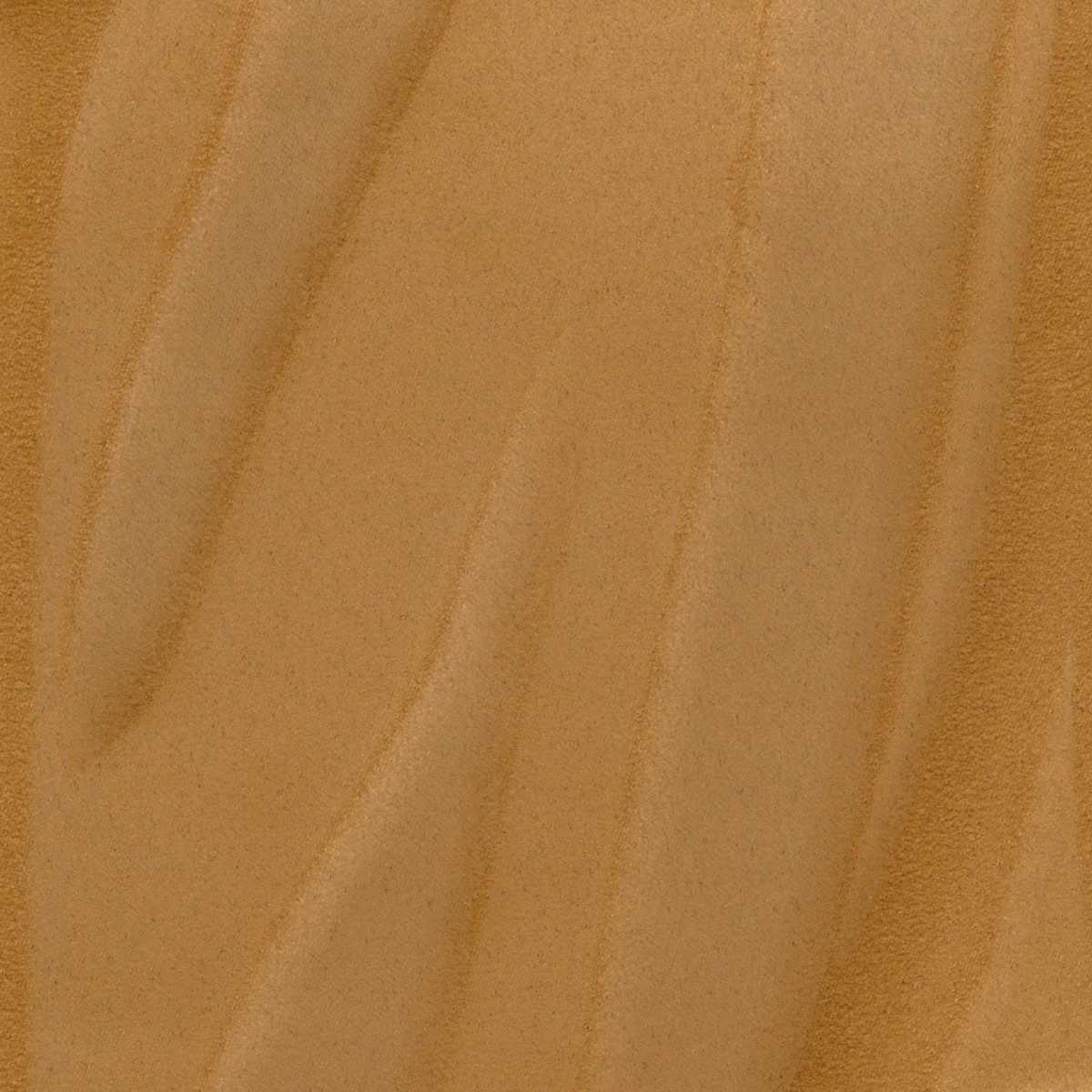 Herbier RM-1099-70