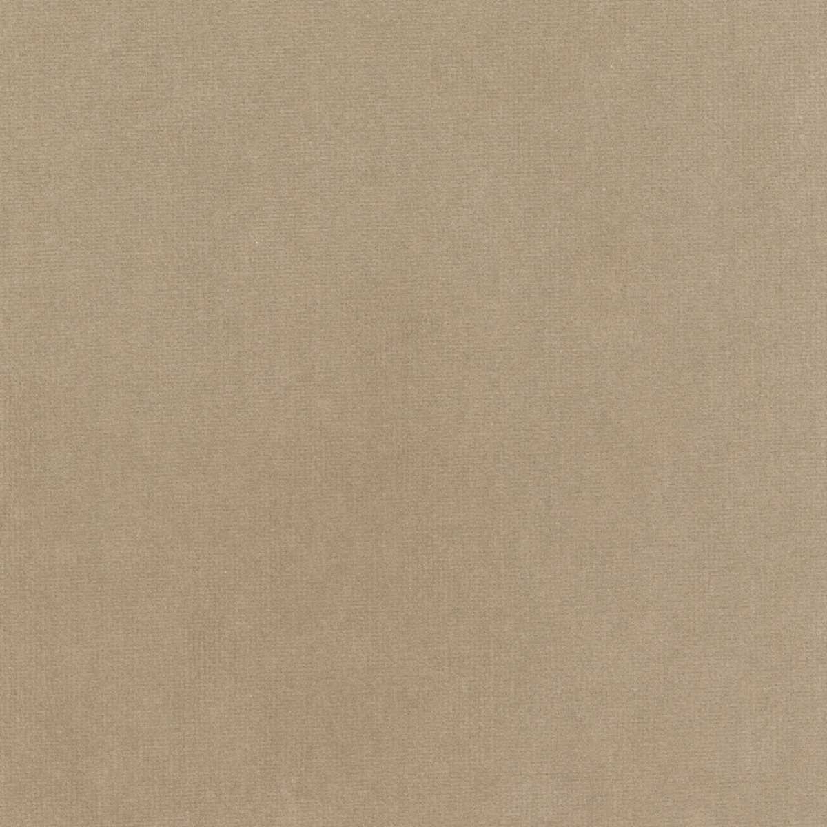 Palatine LB 711 06