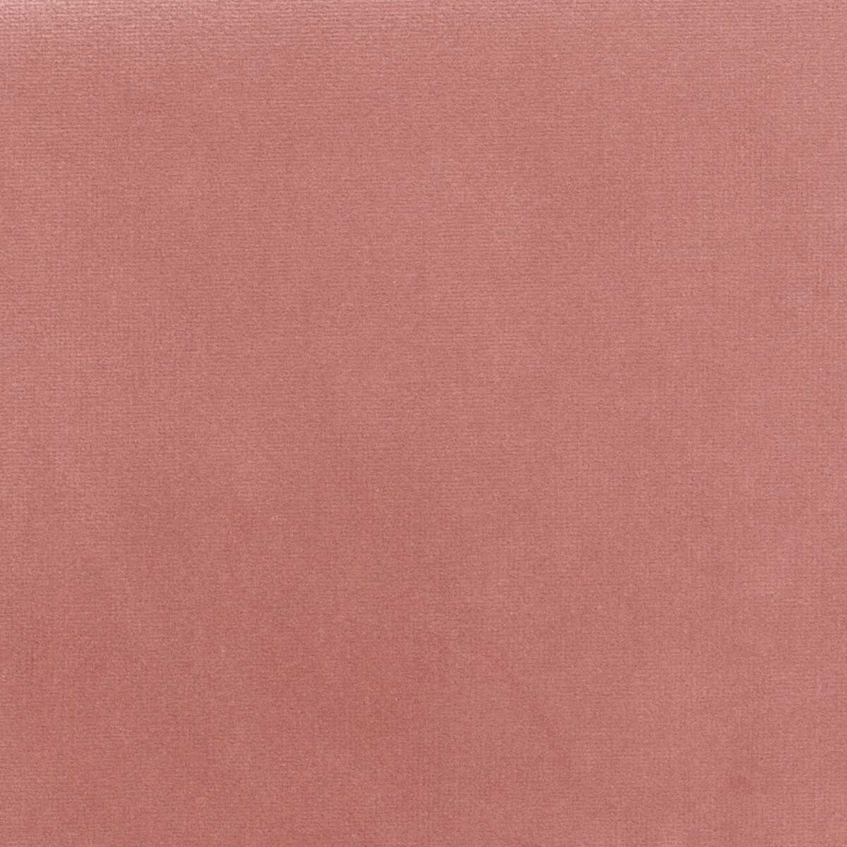 Palatine LB 711 51