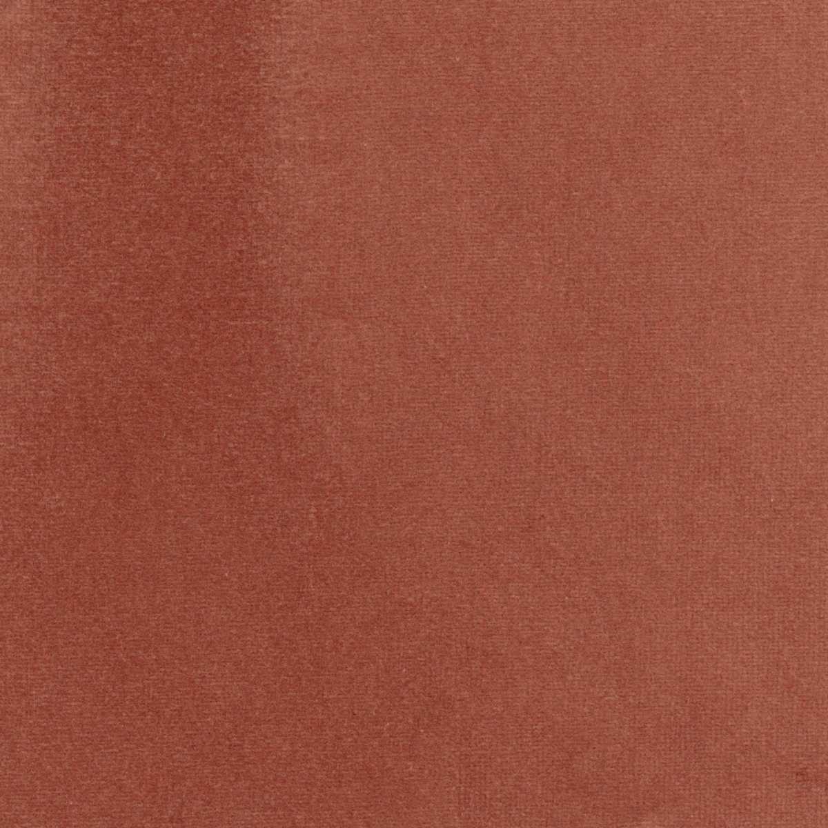 Palatine LB 711 55