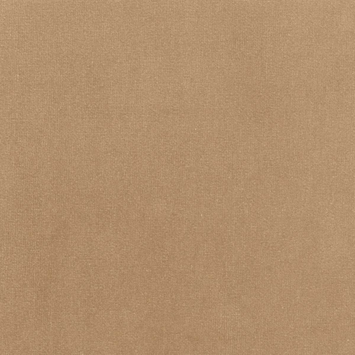 Palatine LB 711 71