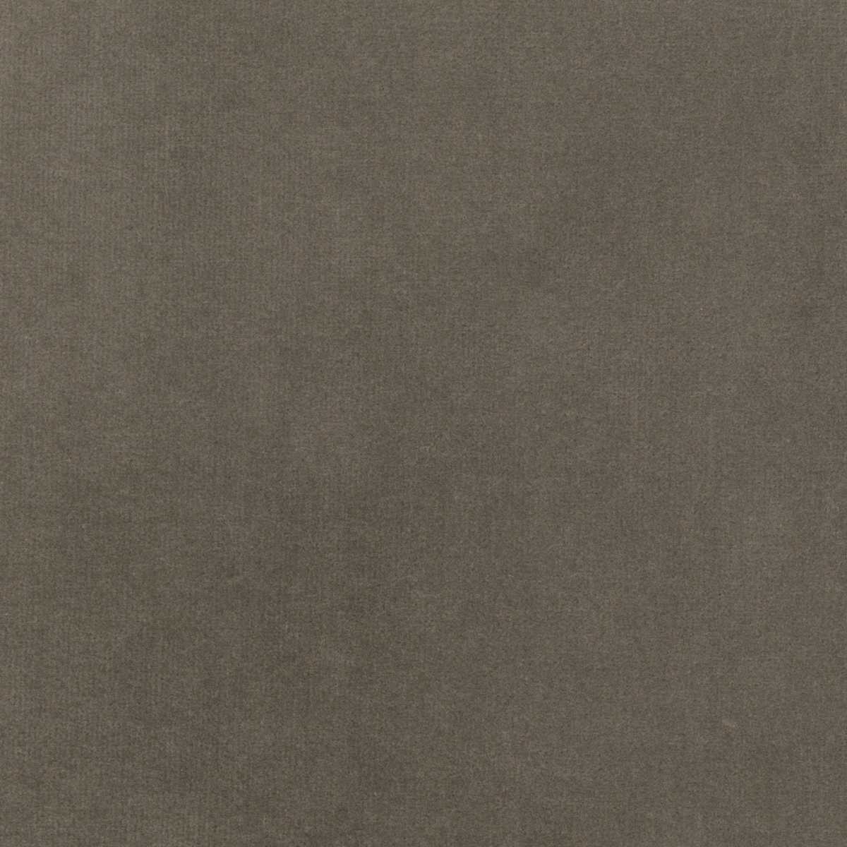 Palatine LB 711 81