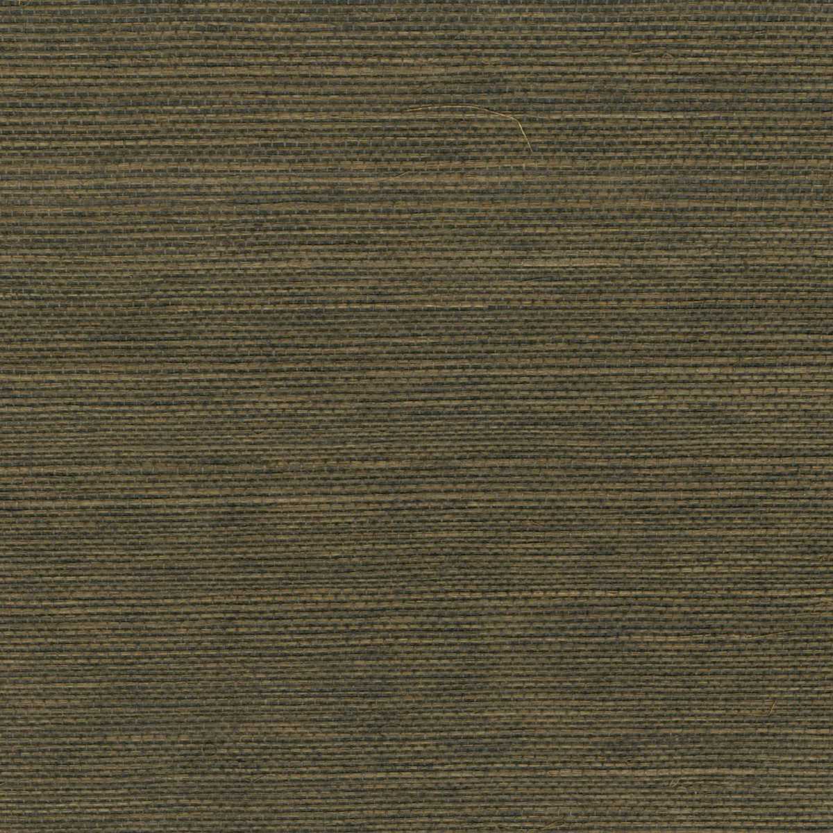 Maestria Sisal RM-1069-60