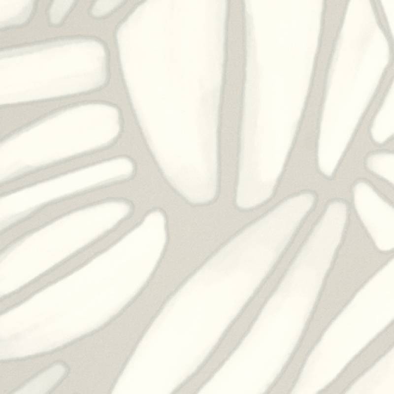 Succulente TP 301 01