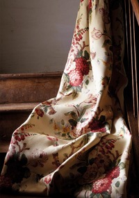 Eloise F0260-01