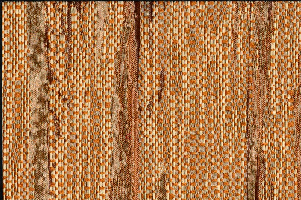 Elvis Zucca