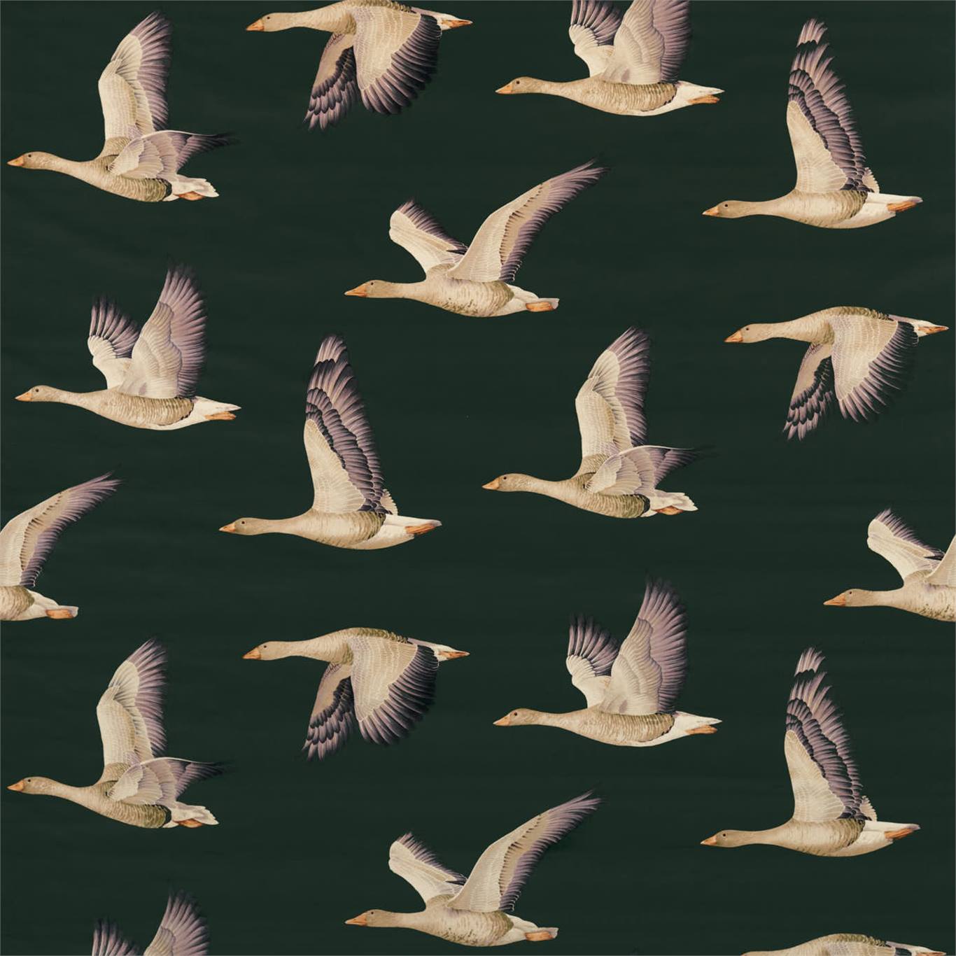 Elysian Geese 226519