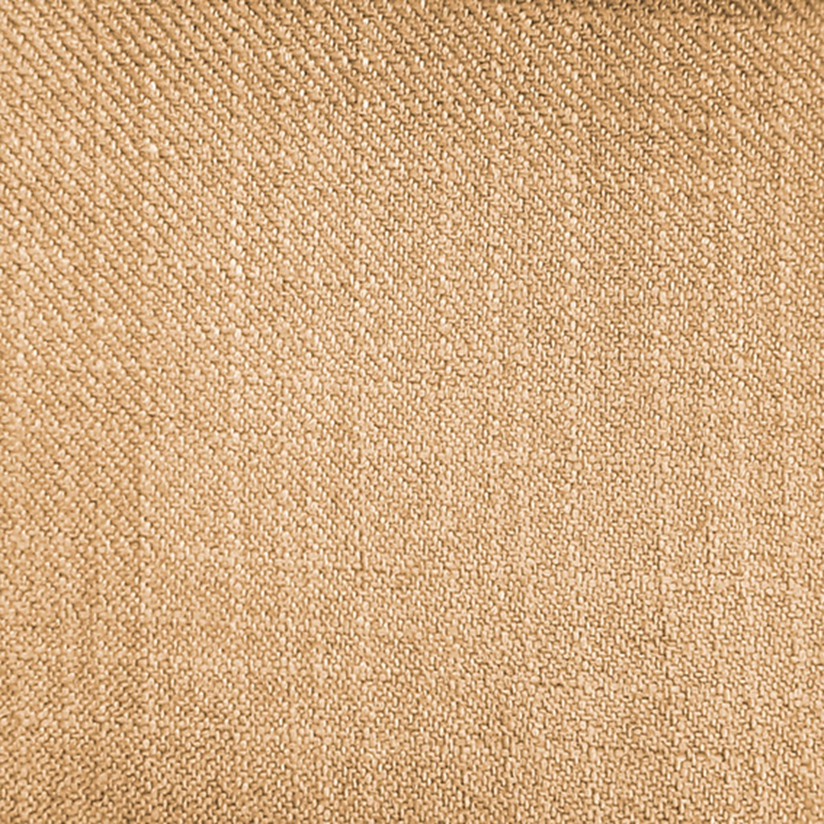 Emilio Mustard