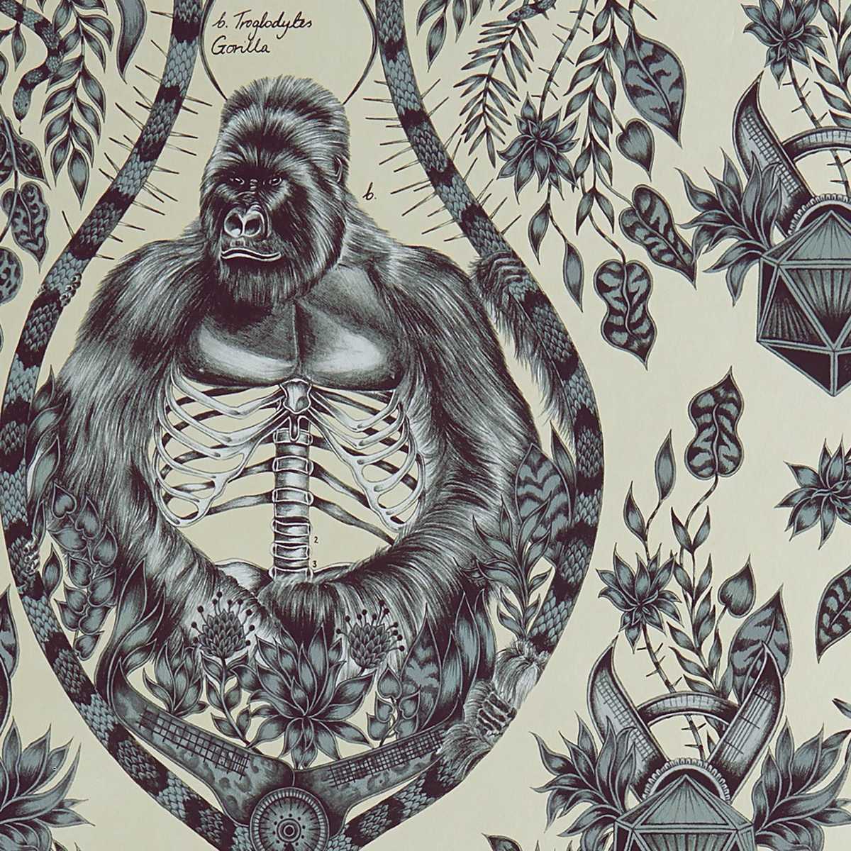 Silverback W0120-02