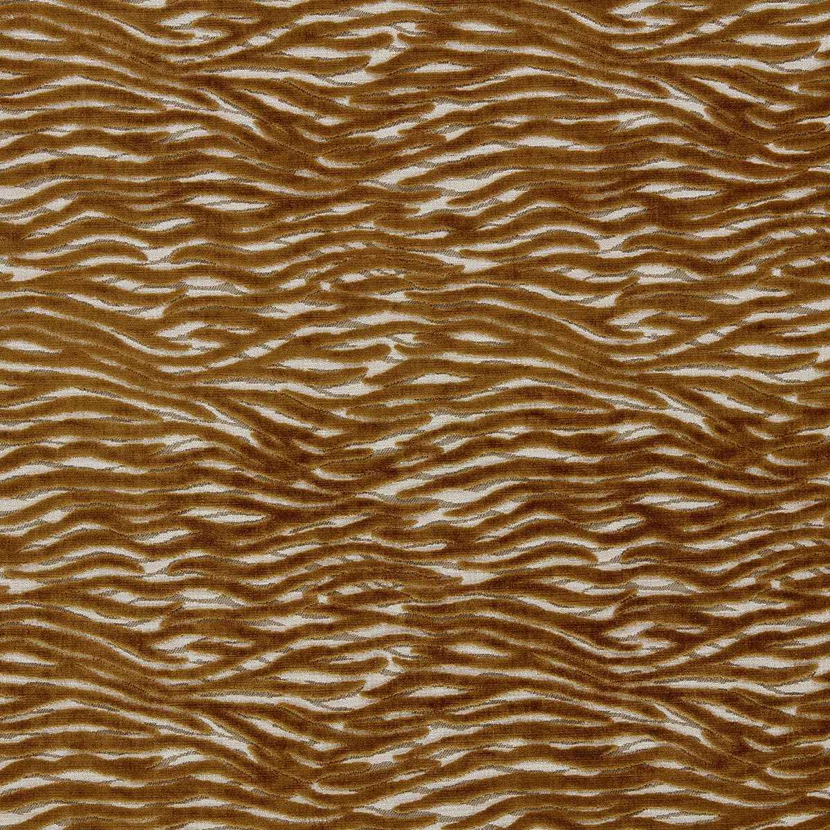 Wildstripe F1762-01