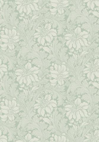 Acanthus 5350