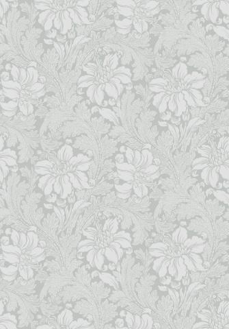 Acanthus 5351