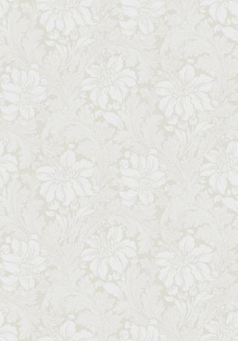 Acanthus 5352