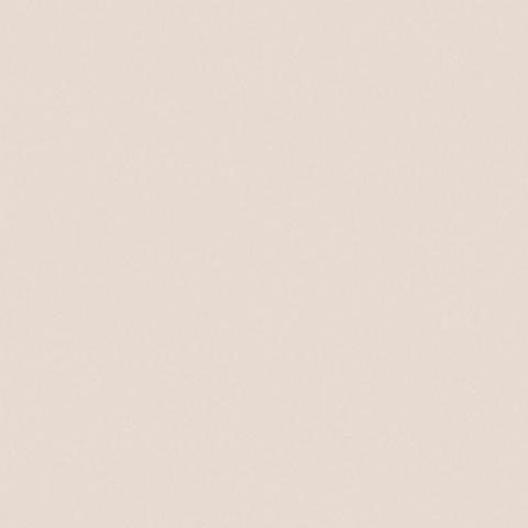 Blush Pink 4874
