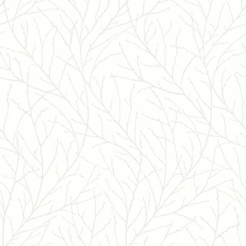 Branches 7177