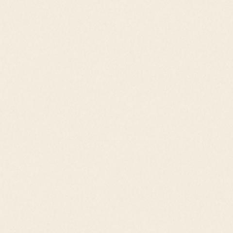 Champagne 4863