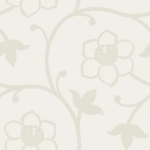Clematis 5394