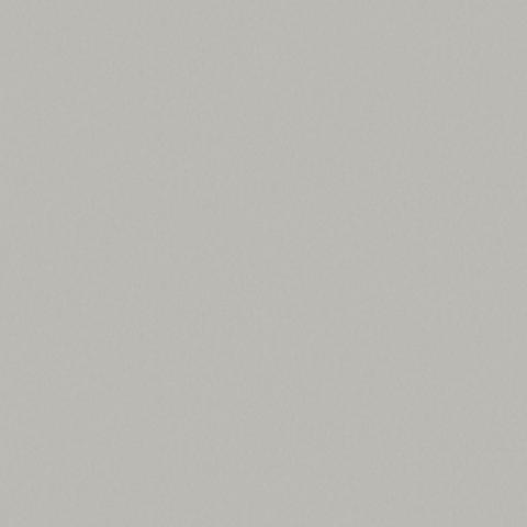 Concrete Grey 4867