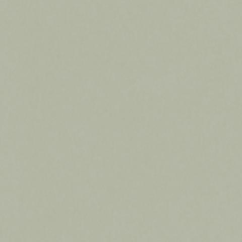 Dusty Green 4665