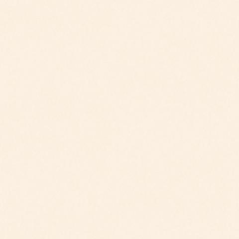 Light Blush 4873