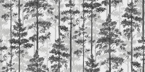 Pine 8827