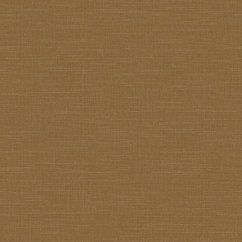 Raw Silk 4572