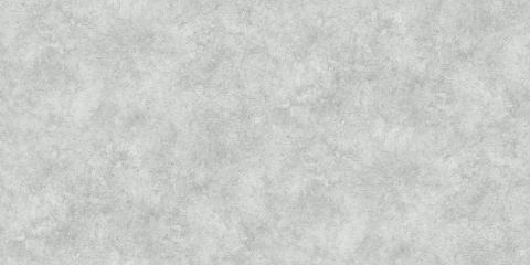 Royal Silver 4893