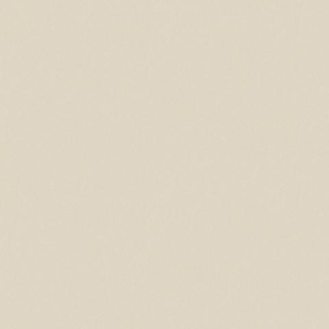 Sand Beige 4866