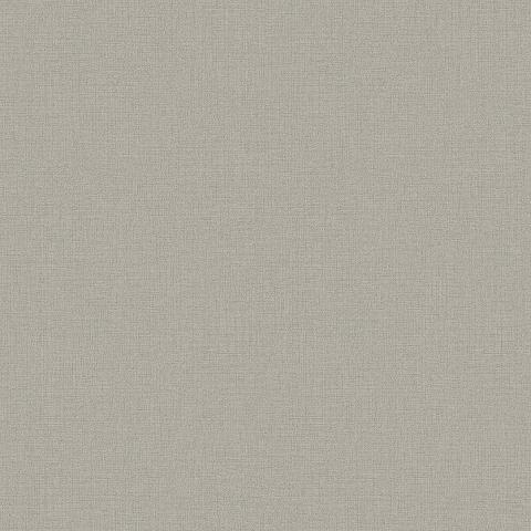 Silk Brown 4889