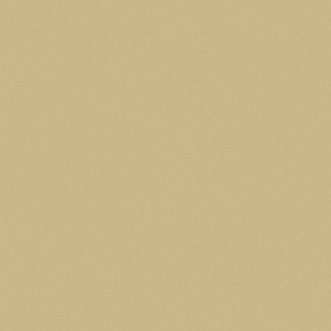 True Gold 4884