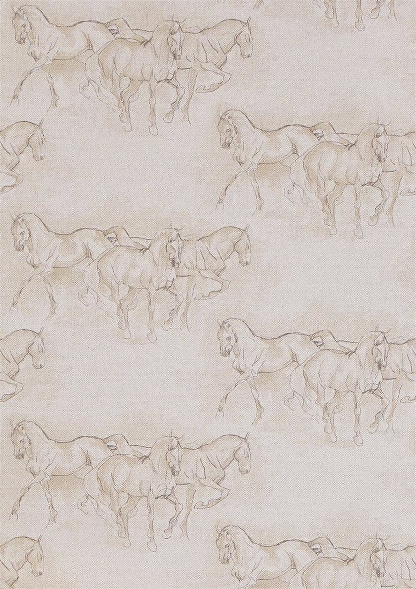 Equus Grey Fabric