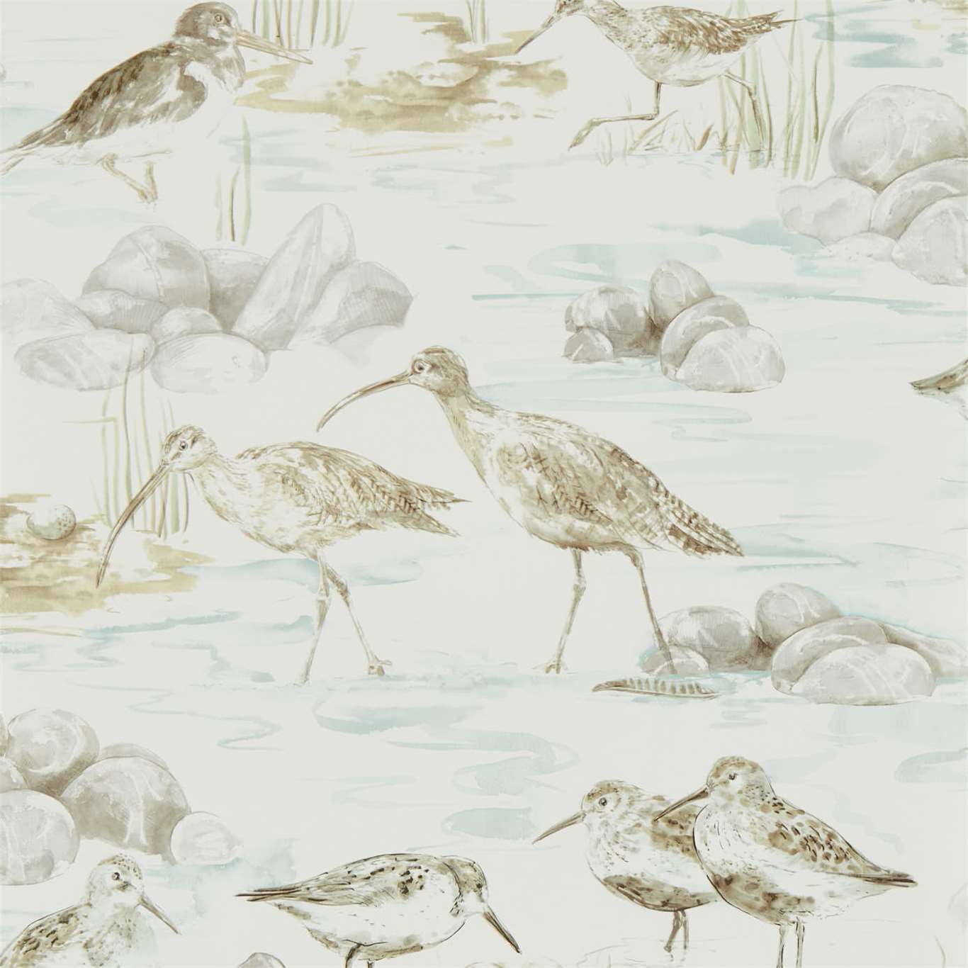 Estuary Birds 216494