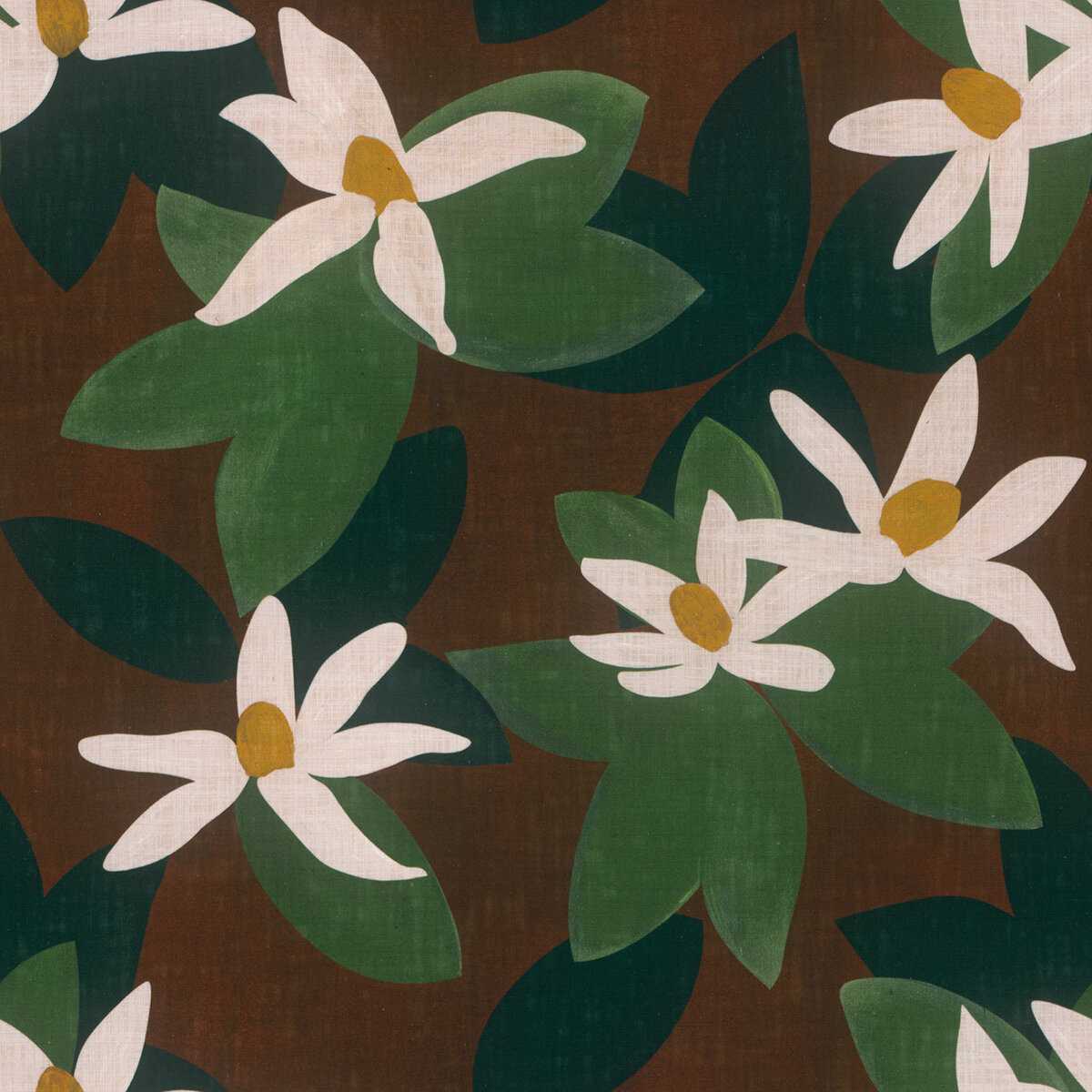 Clematite 19598376