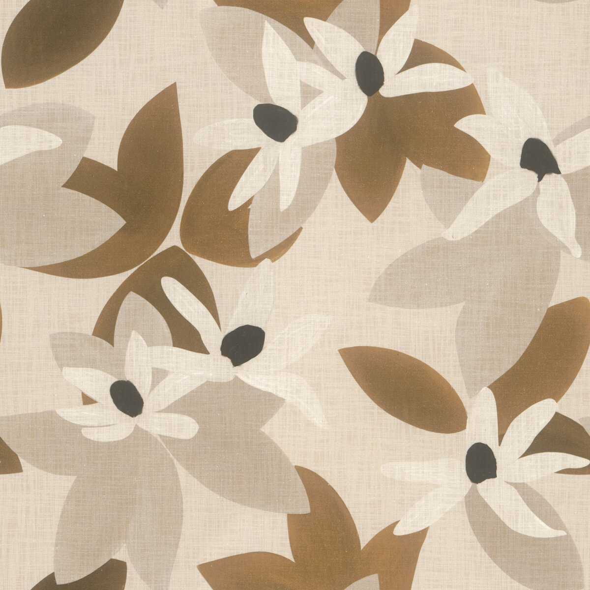 Clematite 19598894