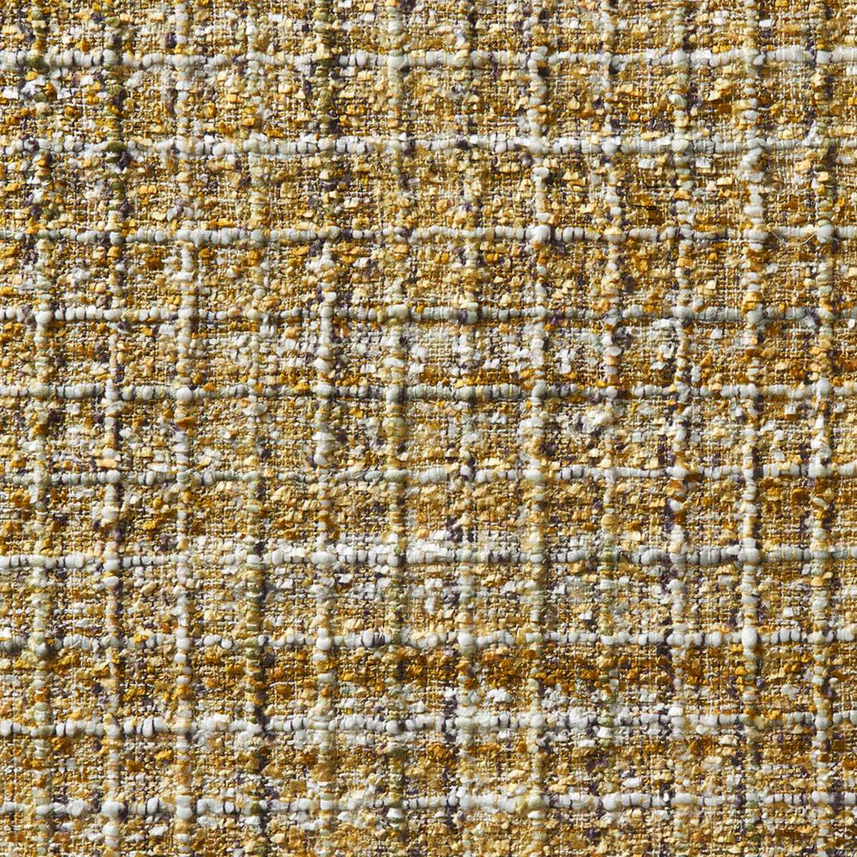 Coco 19563195