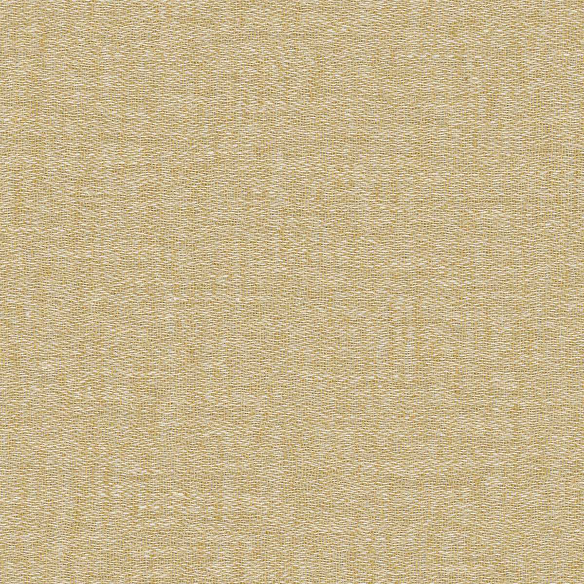 Fleur de lin RE 19632111